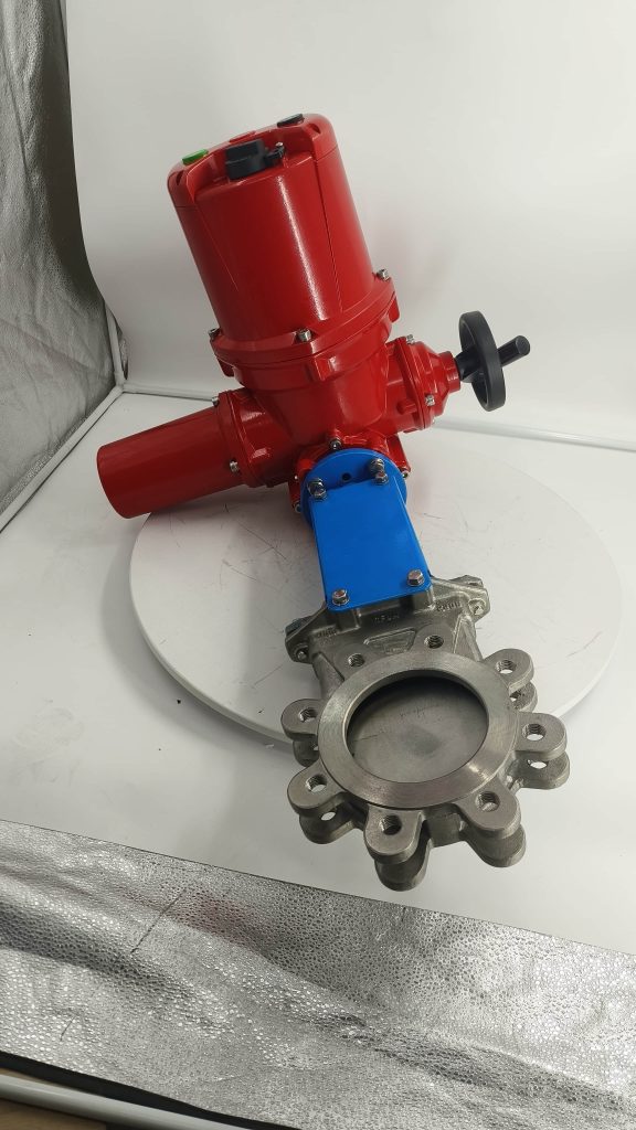 Explosion proof electric gate valve