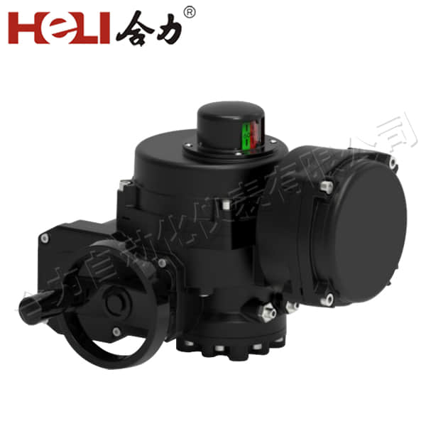 Electric actuator for valves