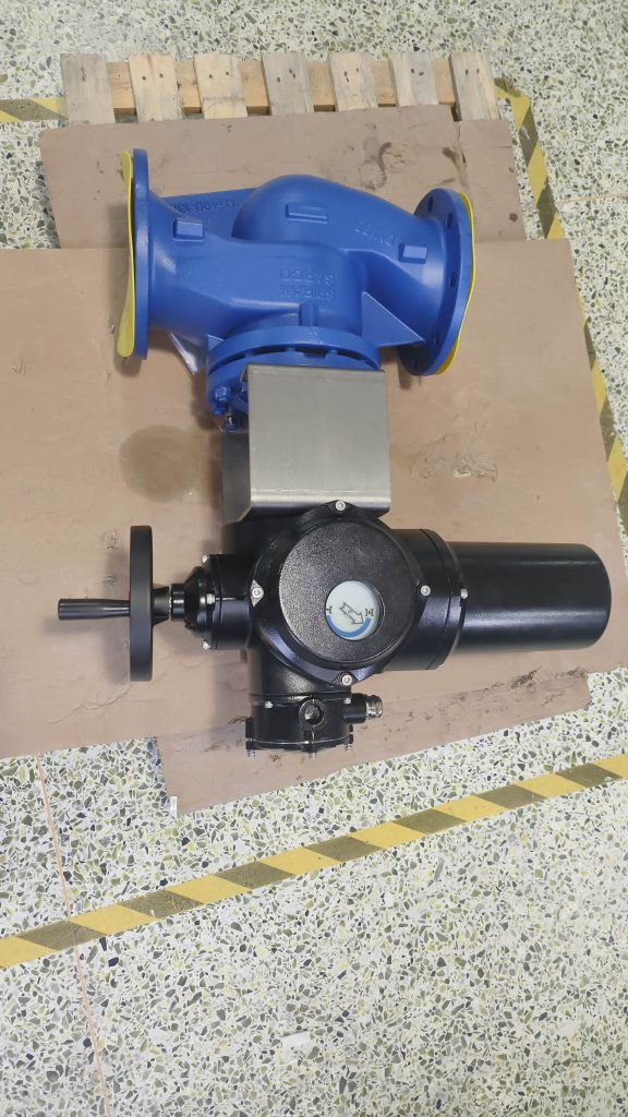 WCB Electric Globe valve